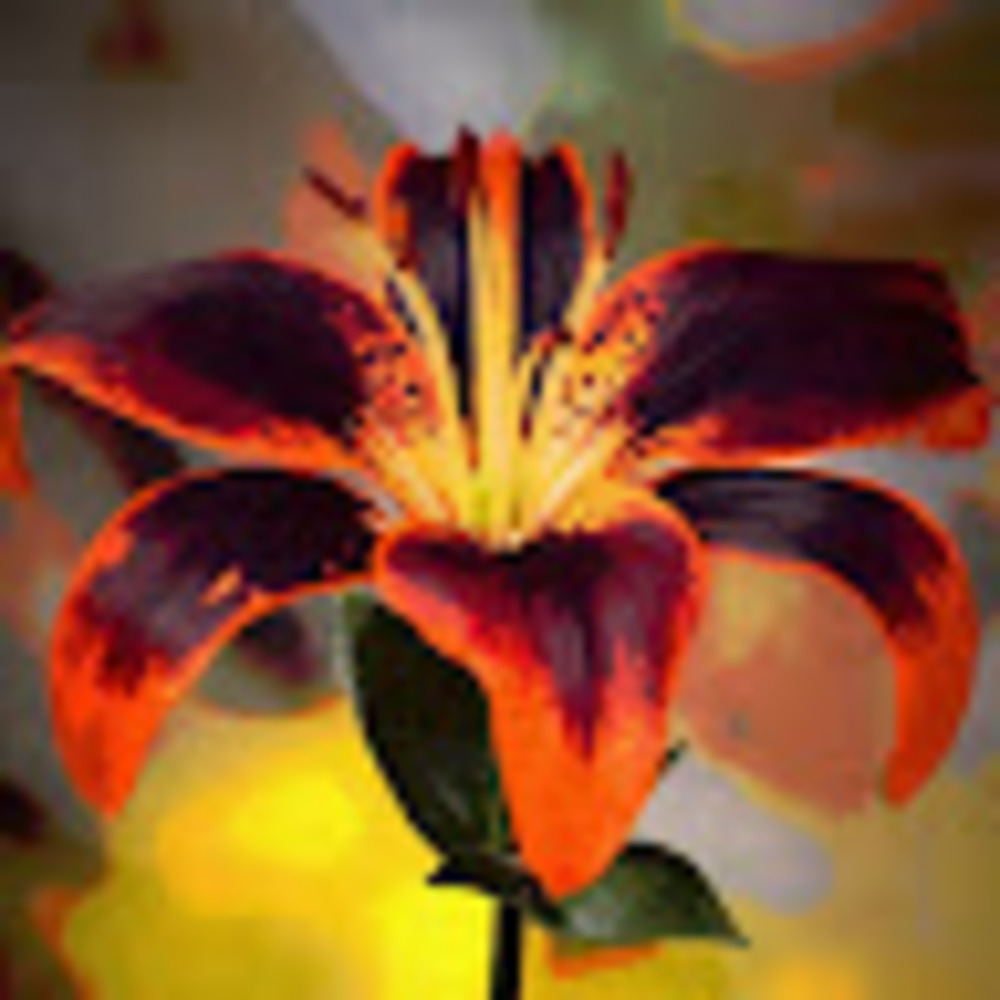 Meet your Posher, Colleen